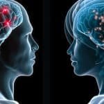 Diferencias Entre El Cerebro Masculino Y Femenino.