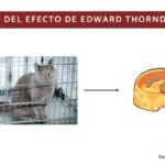 Ley Del Efecto De Thorndike: En Qué Consiste, Ejemplos Y Críticas.