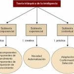 Teoría Triárquica De La Inteligencia De Sternberg.