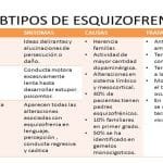 Tipos De Esquizofrenia Y Sus Características.