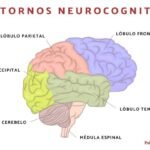 Trastornos Neurocognitivos: Qué Son, Tipos, Causas Y Tratamiento.