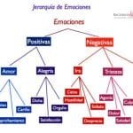 Clasificación Y Características De Las Emociones.