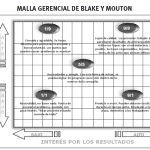 La Malla Gerencial (red Administrativa): Blake Y Mouton.
