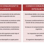 Qué Es El Condicionamiento Operante: Definición Y Ejemplos.