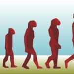 Explora La Evolución Cultural: Descubre Cómo Nos Influye Como Sociedad