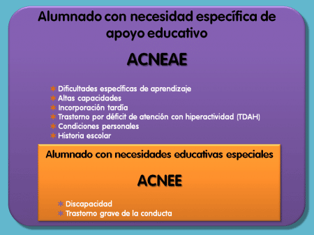¿Qué Significa NEAE? Aprende Sobre Las Necesidades Educativas ...