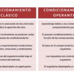 Condicionamiento Clásico Y Operante: ¿cuáles Son Sus Diferencias?