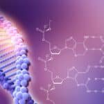 El Impacto De La Genética En La Conducta: Descubre Qué Dice La Ciencia Sobre Nuestra Conducta