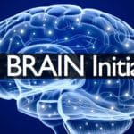El Proyecto Blue Brain Y Su Promesa De Revolucionar Nuestro Entendimiento Del Cerebro Humano