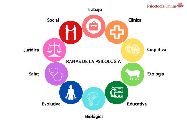 ¿La Psicología Es Una Ciencia? Descubre Cómo La Psicología Se Relaciona