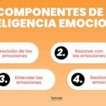 Las Cuatro Emociones Básicas: Cómo Entenderlas Y Gestionarlas Eficazmente