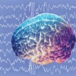 Ondas delta: ¿qué son y cómo afectan nuestro cerebro y sueño?