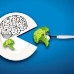 Alimentación Y Cerebro: Cómo La Comida Influye En Nuestro Funcionamiento