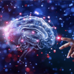 Cerebro Prospectivo O El Poder De Predecir El Futuro