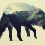 El lobo estepario: una obra literaria que invita a reflexionar sobre la soledad y la identidad.