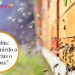 El miedo a las abejas o apifobia: causas, síntomas y tratamientos para superar el miedo a estos insectos.