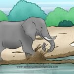 El Elefante Que Perdió Su Anillo De Bodas, Una Historia Para Pensar
